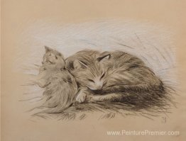 Deux chats Deux chats