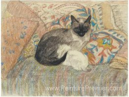 Chat siamois et son chaton Chat siamois et son chaton