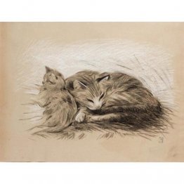 Dessin de chats Dessin de chats