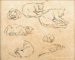Étude des chats Étude des chats