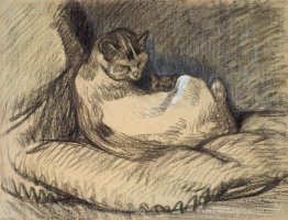 Mère chat Mère chat