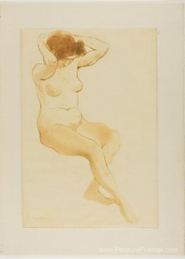 Femme de Trois Quarts Se COIFFANT Femme de Trois Quarts Se COIFFANT