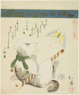 Chat jouant avec un papillon jouet Chat jouant avec un papillon jouet