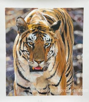 Tableaux personnalisés