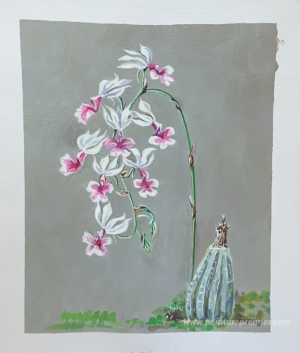 Tableaux personnalisés