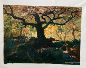 Arbre dans les chats