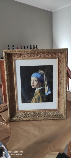 La fille avec une boucle d'oreille perle