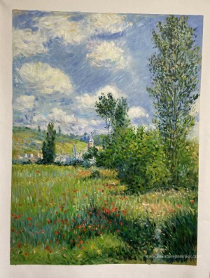 Voie dans les champs de coquelicots, Ile Saint-Martin