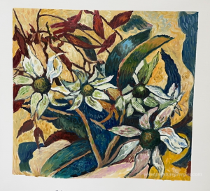 Fleurs de flanelle et feuilles de gomme