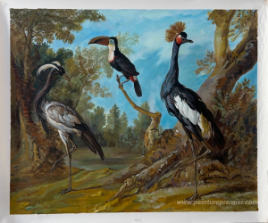 Demoiselle Crane, Toucan et Crane tufted