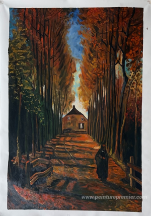 Avenue de peupliers au coucher du soleil