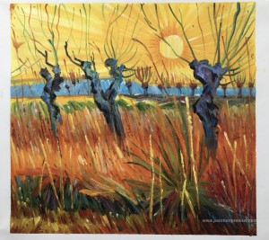Pollard Willows et coucher du soleil