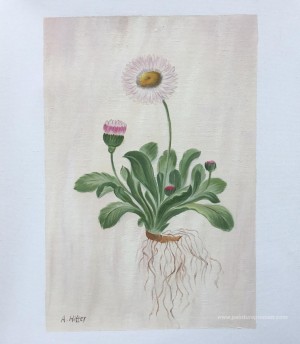 Tableaux personnalisés