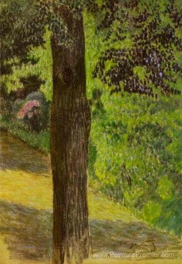 Un chemin dans un jardin Un chemin dans un jardin