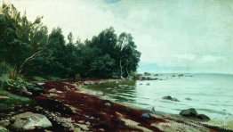 Une baie Une baie