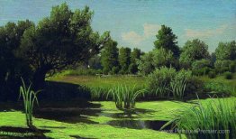 Le paysage. Les anches de la rivière. Le paysage. Les anches de la rivière.