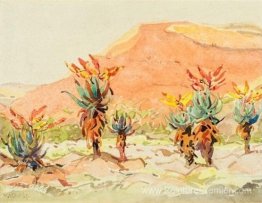 Aloes près d'une rivière Aloes près d'une rivière