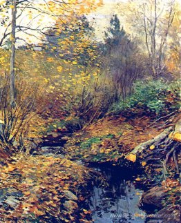 Paysage Paysage