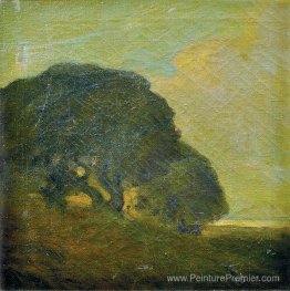 Paysage Paysage