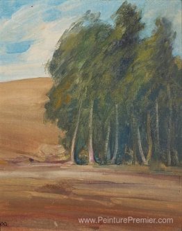 Un bosquet d'arbres balayés par le vent Un bosquet d'arbres balayés par le vent