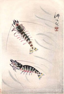 Deux crevettes Deux crevettes